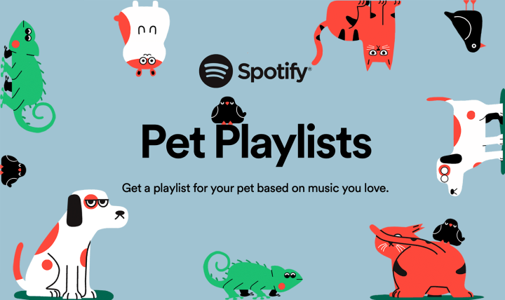 Playlista dla zwierząt Spotify